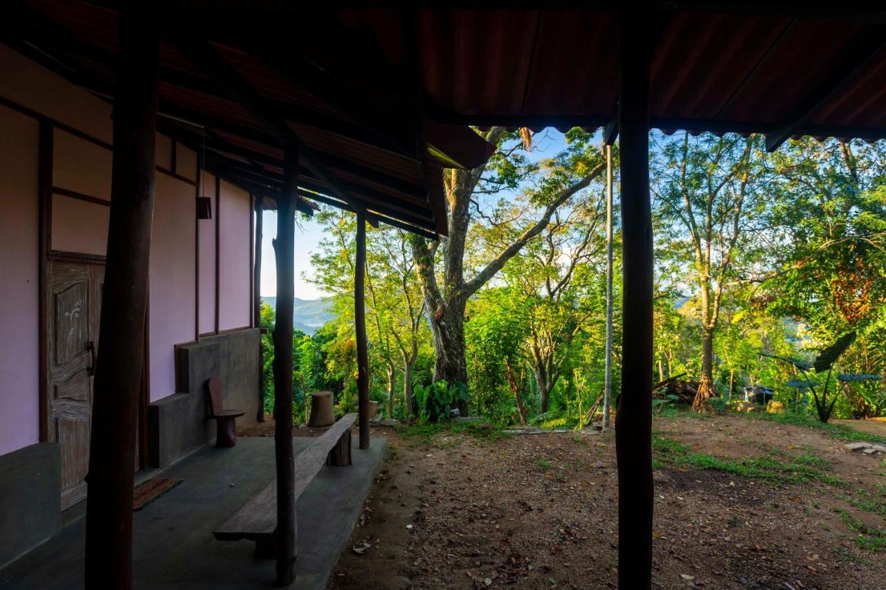 The Woods - Birding, Farming & Eco Living Hotel Haputale Kültér fotó